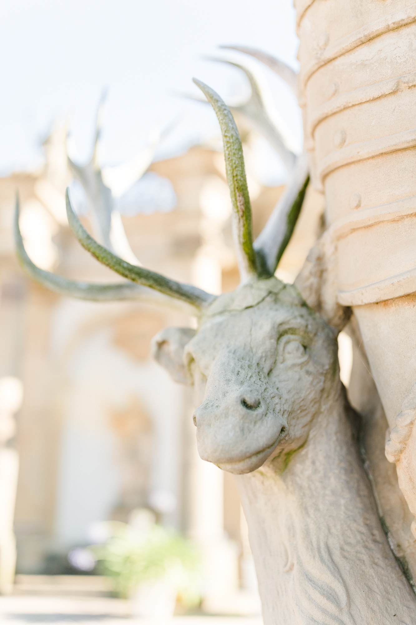 Hochzeit mit freier Trauung im Schloss Weikersheim - Orangerie - fotografiert von Yvonne & Rolland Photography