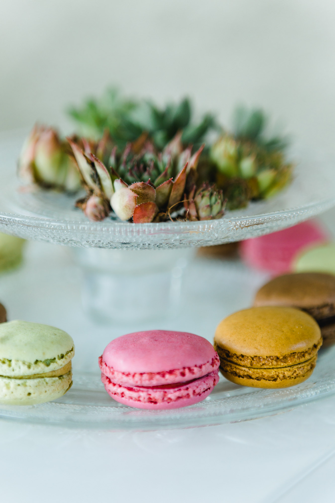 Hochzeit mit freier Trauung im Schloss Weikersheim - Orangerie - fotografiert von Yvonne & Rolland Photography