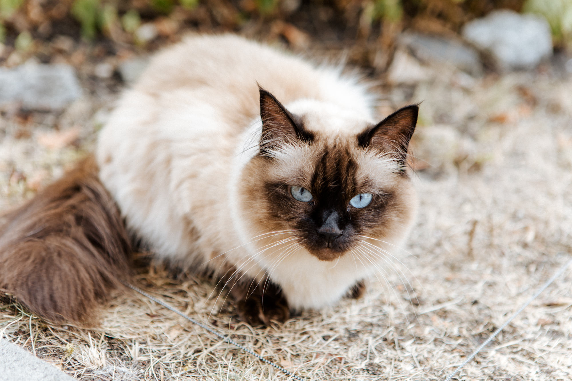 Hochzeit von Lina und Marcus auf Jagdschloss Grünau fotografiert von Yvonne & Rolland Photography