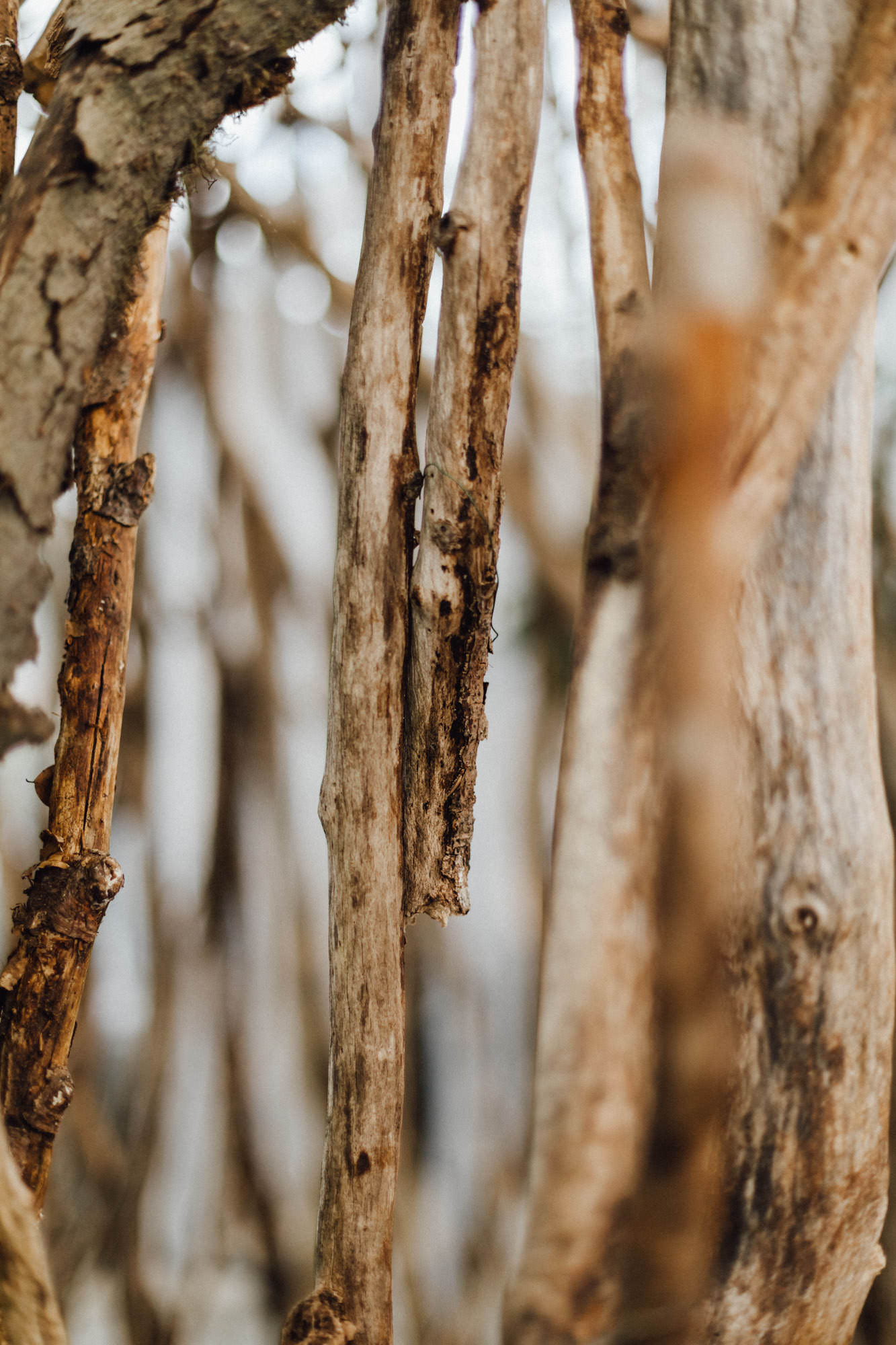 Herbsthochzeit in Wental, Bartholomä - fotografiert von Yvonne & Rolland Photography