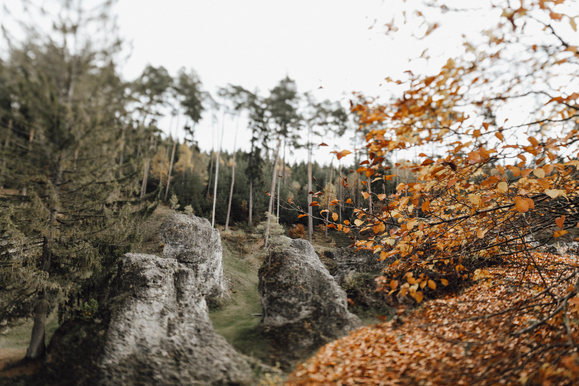 Herbsthochzeit in Wental, Bartholomä - fotografiert von Yvonne & Rolland Photography